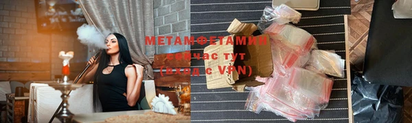 прущие грибы Нефтекумск