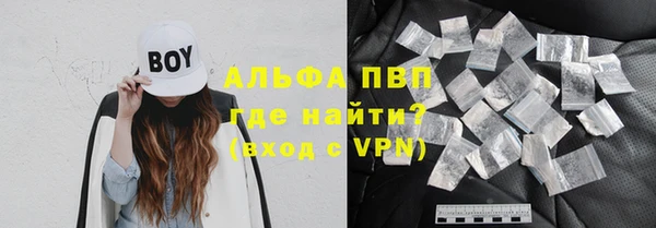 молекула духа Новокубанск