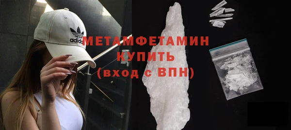 прущие грибы Нефтекумск