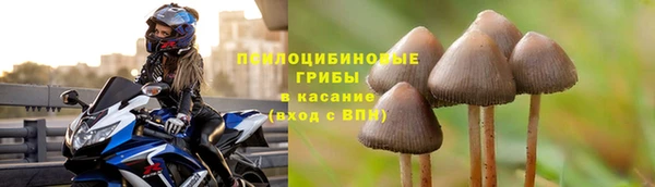 mdma Новозыбков