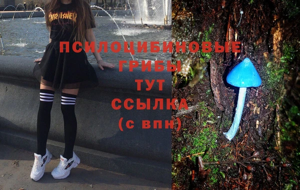 первитин Болохово