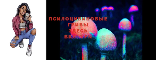mdma Новозыбков