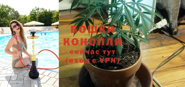 ГАЛЛЮЦИНОГЕННЫЕ ГРИБЫ Новодвинск