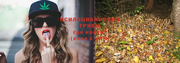 ГАЛЛЮЦИНОГЕННЫЕ ГРИБЫ Новодвинск