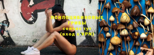 ГАЛЛЮЦИНОГЕННЫЕ ГРИБЫ Новодвинск