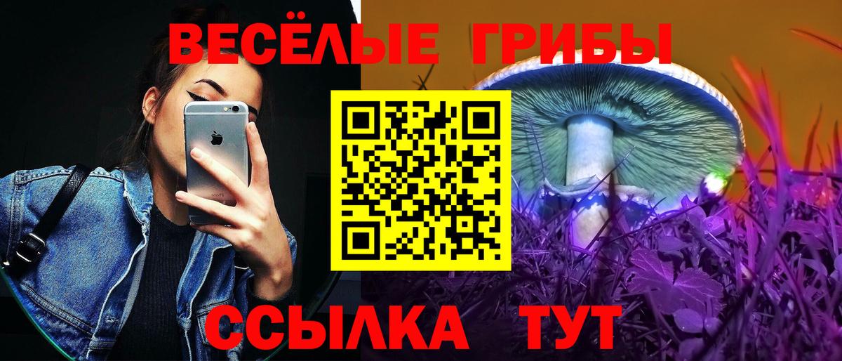 Красноуфимск  Псилоцибиновые грибы мухоморы  Вход с VPN 