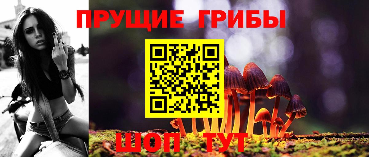 Псилоцибиновые грибы мицелий Красноуфимск